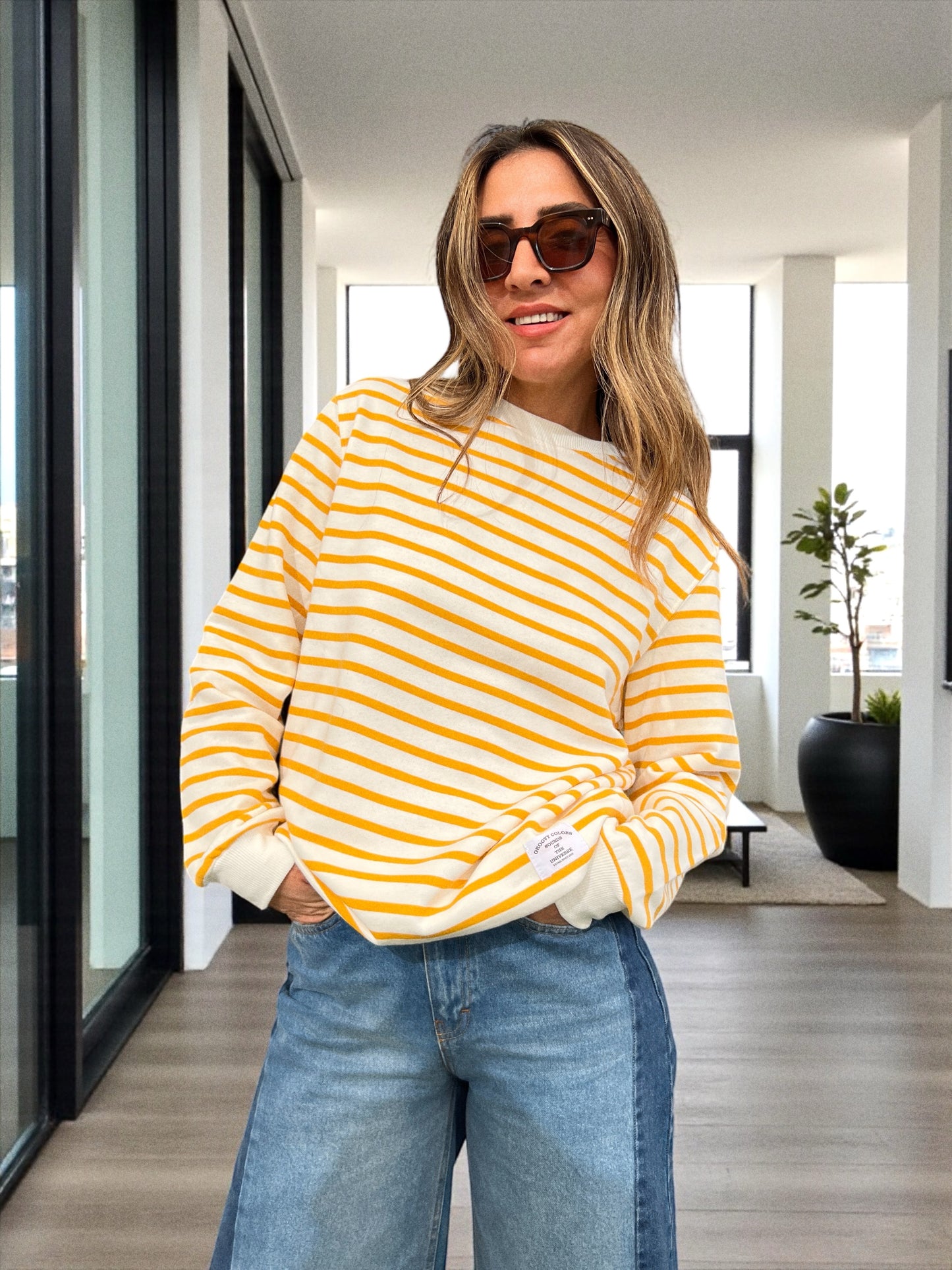 פוטר פסקל | Potter Pascal